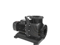 Насос для бассейна AquaViva LX WLP300 для соленой воды Насос для бассейна AquaViva LX WLP300 для соленой воды